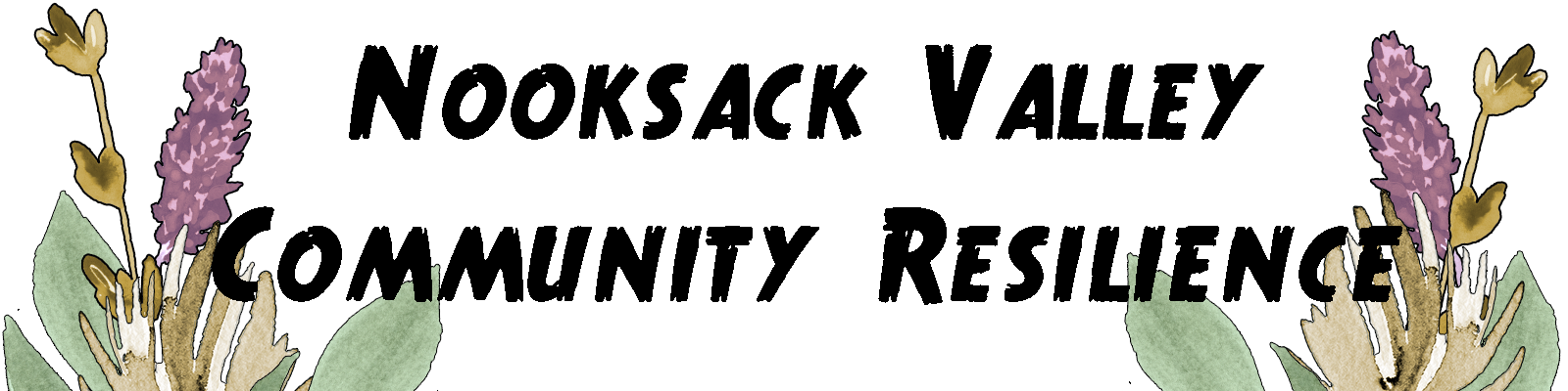 Nooksack Valley Community Resilience